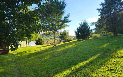 Photo of John F.'s yard after getting lawn care in Batavia, IL