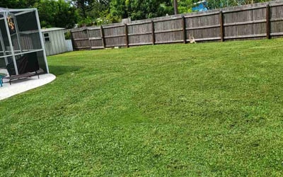 Photo of Glenn J.'s yard after getting lawn care in Pinellas Park, FL