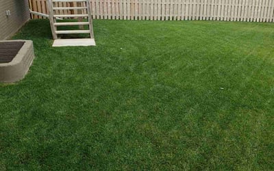 Photo of Kimberly N.'s yard after getting tree care in Lincoln, NE