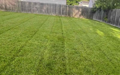 Photo of Linda B.'s yard after getting lawn care in Galloway, OH