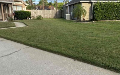 Photo of Tammi J.'s yard after getting lawn care in Montgomery, TX
