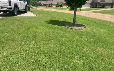 Photo of Danny O.'s yard after getting lawn care in Santa Rosa Beach, FL