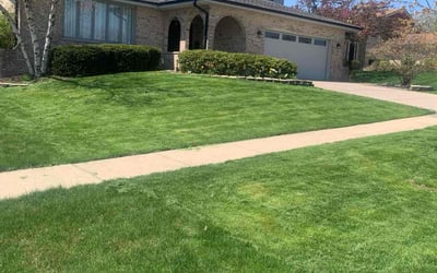 Photo of Daniel M.'s yard after getting lawn care in Tinley Park, IL