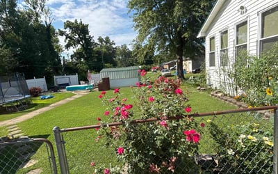 Photo of Daphne E.'s yard after getting lawn care in Escondido, CA