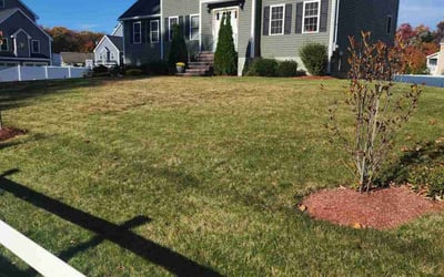 Photo of Kimberly R.'s yard after getting lawn care in Wilmington, MA