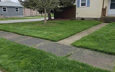 Photo of Andreana D.'s yard after getting lawn care in Madison, OH