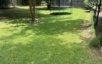 Photo of Danielle T.'s yard after getting lawn care in Panorama City, CA
