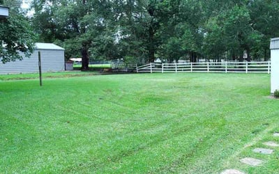 Photo of Mel B.'s yard after getting lawn care in Supply, NC