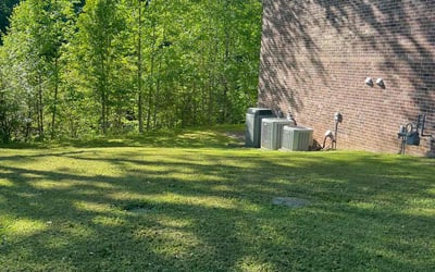 Photo of Annelle H.'s yard after getting lawn care in Princeton, WV