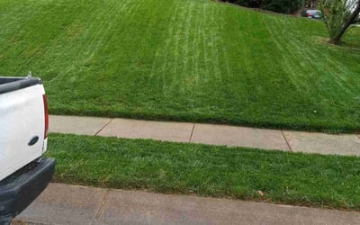 Photo of Pamela D.'s yard after getting lawn care in Mount Holly, NC