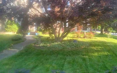 Photo of Stacey G.'s yard after getting lawn care in Newark, OH