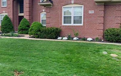 Photo of Patricia D.'s yard after getting lawn care in Brandon, FL