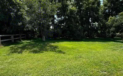 Photo of Jennifer C.'s yard after getting lawn care in Delhi, OH