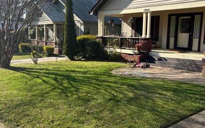 Photo of Amie P.'s yard after getting lawn care in Braintree, MA