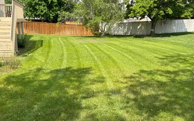 Photo of Deborah G.'s yard after getting lawn care in Shakopee, MN