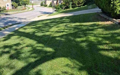 Photo of Victor L.'s yard after getting lawn care in Portland, TX