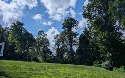 Photo of Sandra J.'s yard after getting lawn care in Lakeland, FL