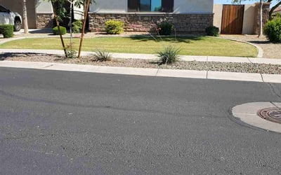 Photo of Sandra M.'s yard after getting lawn care in Chandler, AZ