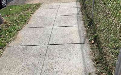 Photo of Ben A.'s yard after getting lawn care in Minnetonka, MN