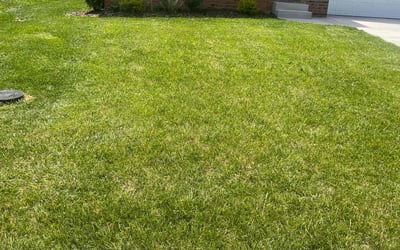 Photo of Kolby F.'s yard after getting lawn care in Bowling Green, KY