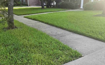 Photo of Kevin Z.'s yard after getting lawn care in Sugar Land, TX