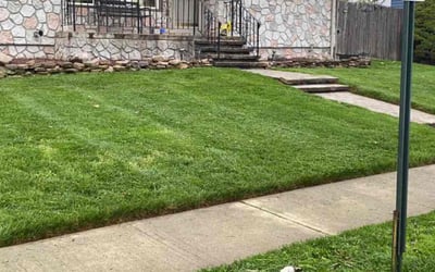 Photo of Linda A.'s yard after getting lawn care in Somerville, NJ
