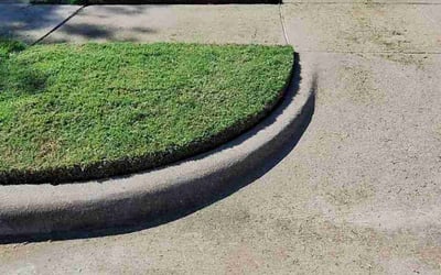 Photo of Claire R.'s yard after getting lawn care in Corinth, TX