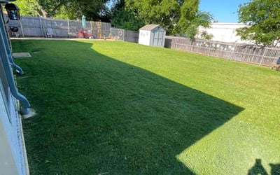 Photo of Cyril P.'s yard after getting lawn care in Haltom City, TX