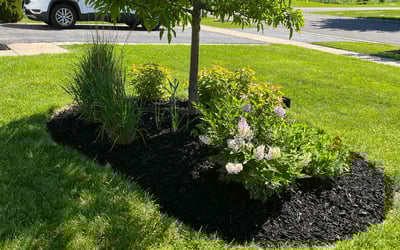Photo of Joy M.'s yard after getting lawn care in Round Lake Beach, IL