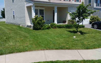 Photo of Alan R.'s yard after getting lawn care in Frederick, MD
