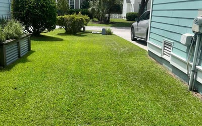 Photo of Katrina W.'s yard after getting lawn care in Lathrop, CA