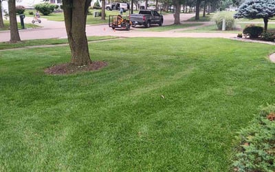 Photo of Daniel S.'s yard after getting lawn care in Homer Glen, IL