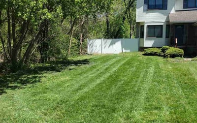Photo of Takao O.'s yard after getting lawn care in Novi, MI