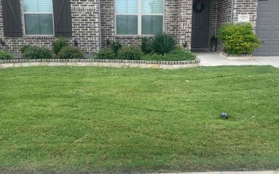 Photo of Angela M.'s yard after getting lawn care in Waxahachie, TX