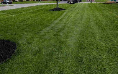 Photo of Dawn C.'s yard after getting lawn care in Oklahoma City, OK