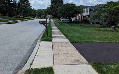 Photo of Tyler D.'s yard after getting lawn care in Oxford, PA