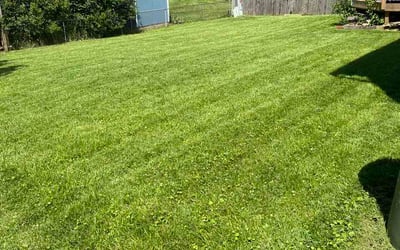 Photo of Muhammad U.'s yard after getting lawn care in Maple Valley, WA
