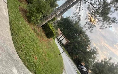 Photo of Annmarie H.'s yard after getting lawn care in Queens Village, NY