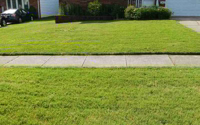Photo of Eileen M.'s yard after getting lawn care in Bedford, OH