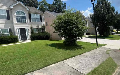 Photo of Ceray D.'s yard after getting lawn care in Lithia Springs, GA