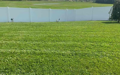 Photo of Steven S.'s yard after getting lawn care in Ottawa, IL