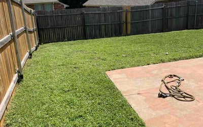 Photo of Shantel M.'s yard after getting lawn care in Hackensack, NJ