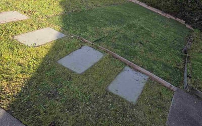 Photo of Berkley W.'s yard after getting lawn care in Austin, TX