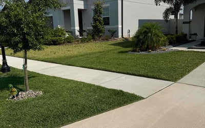 Photo of Bulon R.'s yard after getting lawn care in Moreno Valley, CA