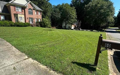 Photo of Sloane S.'s yard after getting lawn care in Sharpsburg, GA