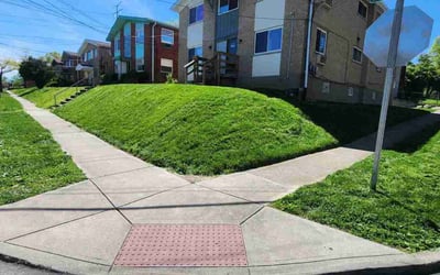 Photo of Shane S.'s yard after getting lawn care in Tinley Park, IL