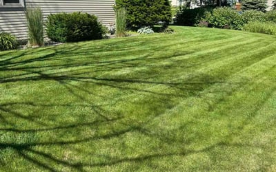 Photo of Kim B.'s yard after getting lawn care in Burnsville, MN