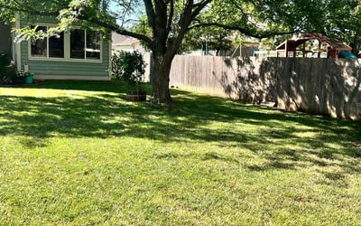 Photo of Karen P.'s yard after getting lawn care in El Dorado, KS