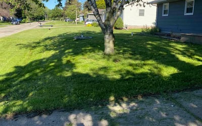 Photo of Sharon B.'s yard after getting lawn care in Oshkosh, WI
