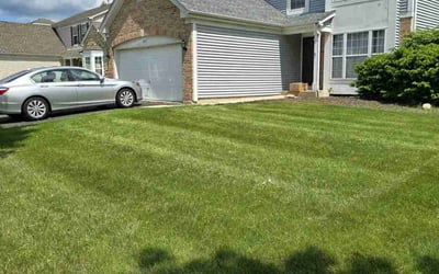Photo of Jasmine B.'s yard after getting lawn care in Sun Prairie, WI